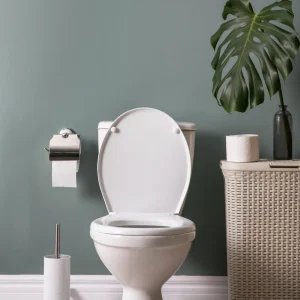 Productos de limpieza de baños